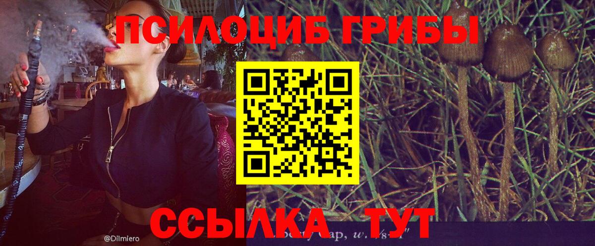Галлюциногенные грибы прущие грибы  продажа наркотиков  Нижний Новгород  Вход с VPN 