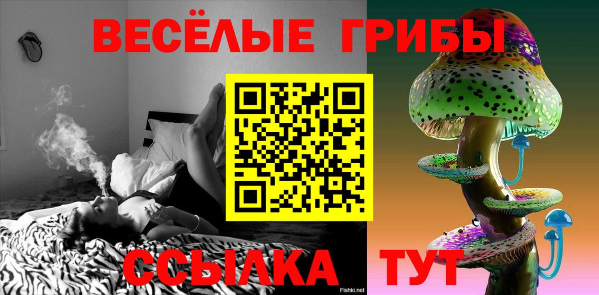 Псилоцибиновые грибы MAGIC MUSHROOMS Нижний Новгород